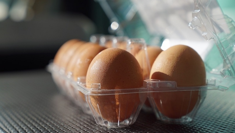 Πήρε αυγά από το σούπερ μάρκετ, τα επώασε και τώρα έχει τρεις πάπιες (pics)