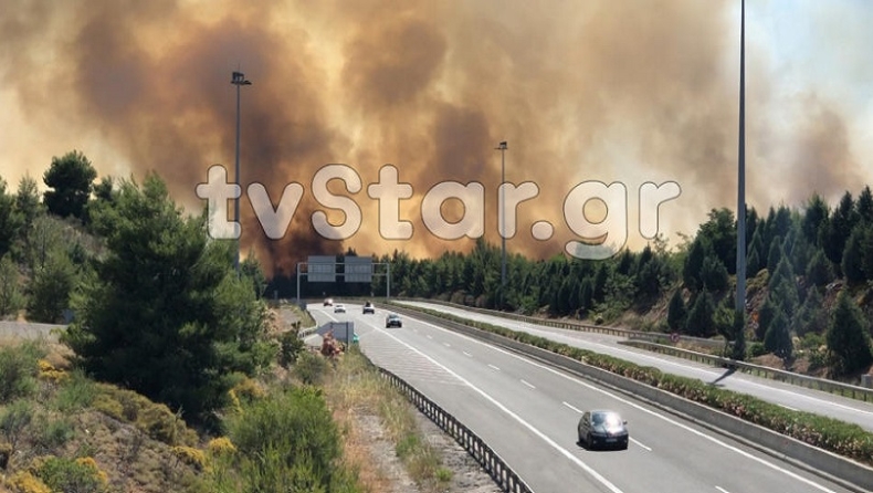 Συναγερμός στη Φθιώτιδα: Ανεξέλεγκτη μεγάλη φωτιά στο Μαρτίνο, πέρασε την εθνική οδό (pics & vids)
