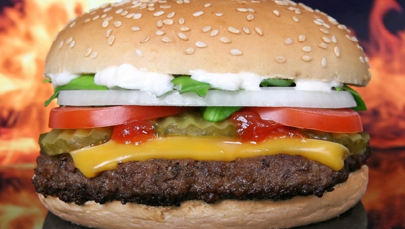 Μπιφτέκι από έντομα: Αυτό είναι το μπέργκερ που οραματίζεται η Κομισιόν για το 2030 (pics)