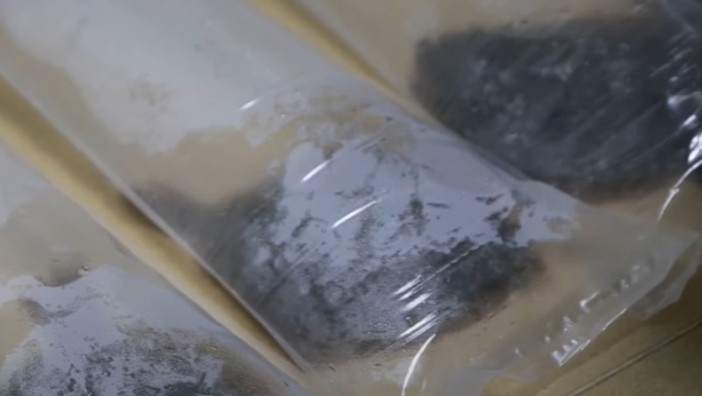 Κινέζοι ερευνητές διατήρησαν ψάρια ζωντανά για 72 ώρες χωρίς νερό (vid)