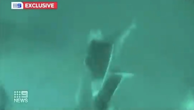 Ψαροντουφεκάς γλίτωσε από τα σαγόνια καρχαρία κλωτσώντας τον στο κεφάλι (vid)