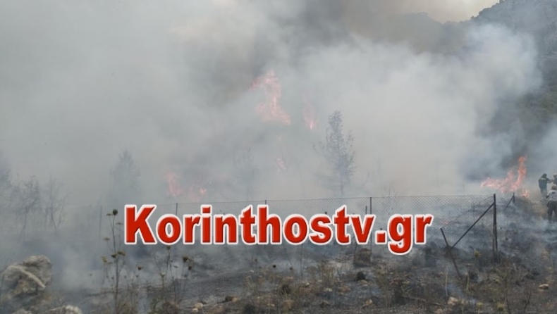 Φωτιά Κόρινθος: Εκκενώθηκαν τρεις οικισμοί και μία κατασκήνωση στις Κεχριές (pics & vid)