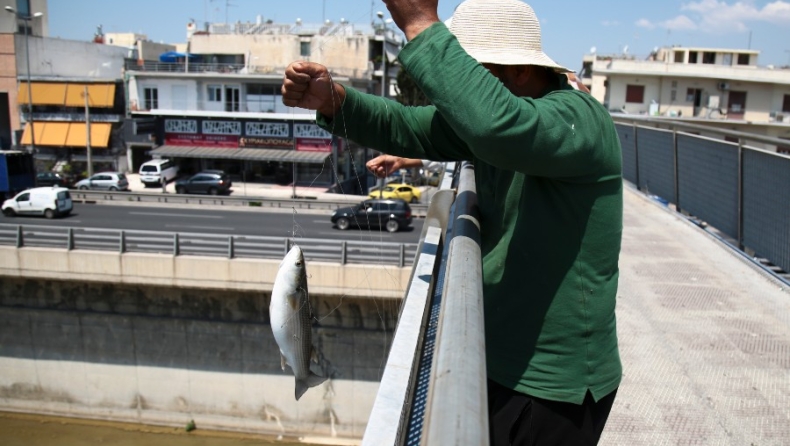 Ψαρεύουν κεφαλόψαρα στον Κηφισό από γέφυρα στην Εθνική Οδό (pics)