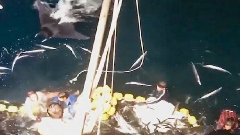Απίστευτο: Ψαράδες έπιασαν άθελά τους 30 σαλάχια και βούτηξαν στο νερό για να τα απελευθερώσουν (vid)