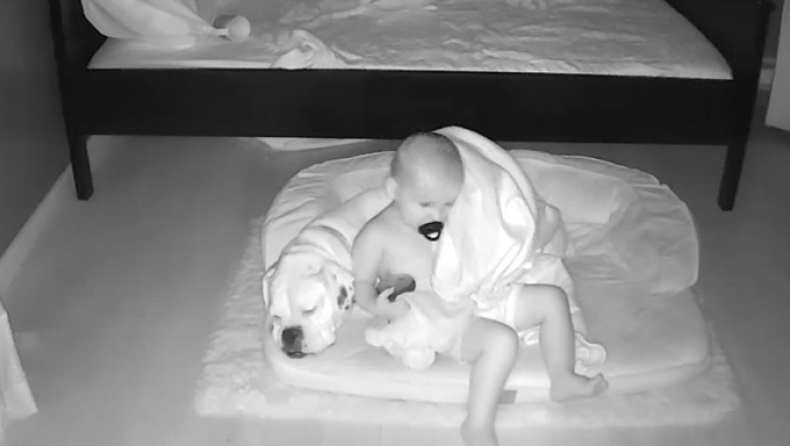 Μωρό κατεβαίνει από το κρεβάτι για να κοιμηθεί με τον σκύλο του (vid)