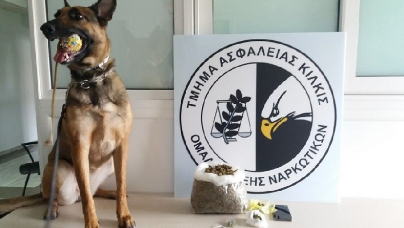 Θεσσαλονίκη: Η Minnie ξετρύπωσε την κοκαΐνη από πόδι καναπέ και τάπερ ρυζιού (vid)