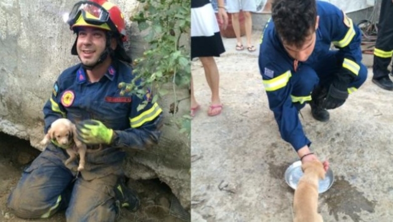 Κρήτη: Πυροσβέστες έσωσαν κουτάβι που είχε πέσει σε αποχέτευση και το ονόμασαν Νίκη (pic)