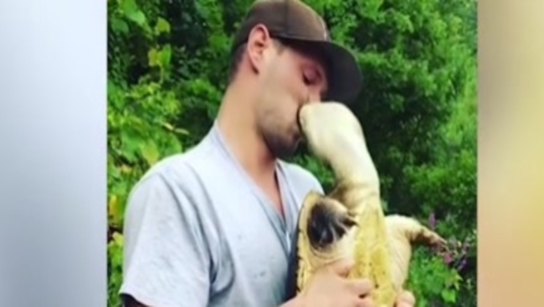 Ένας 28χρονος προσπάθησε να φιλήσει χελώνα και τον δάγκωσε (vid)