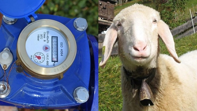 Ηράκλειο: 56χρονος έκλεβε τα υδρόμετρα και τα έκανε κουδούνια για τα πρόβατα