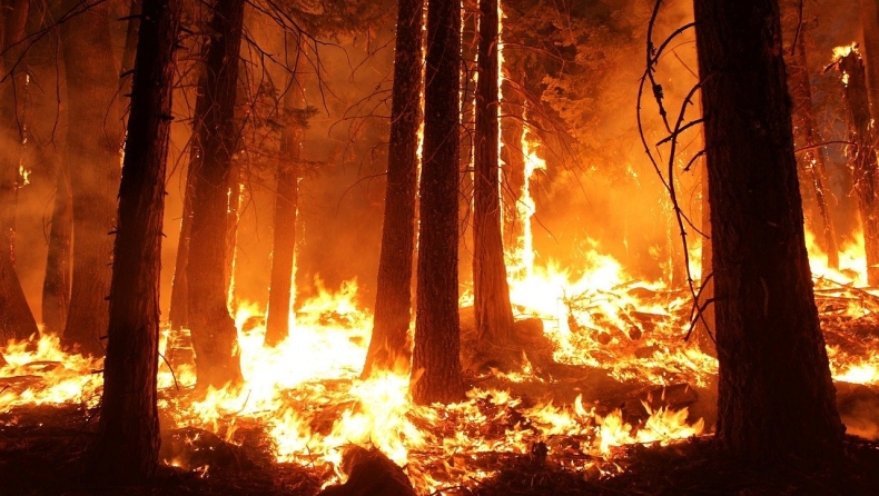 Φλέγεται και πάλι ο Αμαζόνιος, ρεκόρ πυρκαγιών στο Παντανάλ