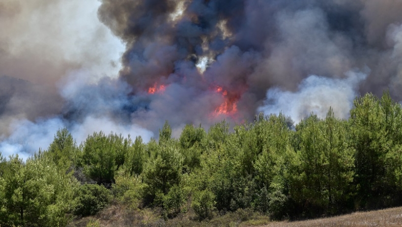 Πύρινη κόλαση στη Μάνη: Πολύ μεγάλο το μέτωπο της φωτιάς, εκκενώθηκαν άλλοι δύο οικισμοί (vids)