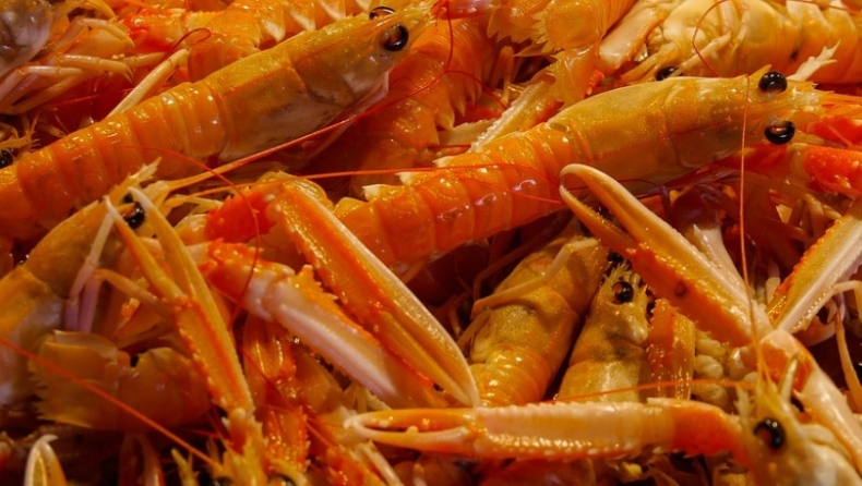 Κορονοϊός: Ίχνη του ιού εντοπίστηκαν σε συσκευασίες γαρίδων