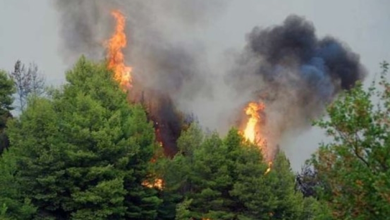 Πυρκαγιά μήκους 20 χιλιομέτρων σε Λεμεσό και Πάφο