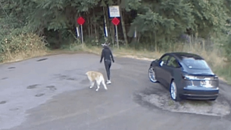 Θλίψη και οργή: Γυναίκα παρατάει τον σκύλο της σε πάρκο και φεύγει με το Tesla της (vid)