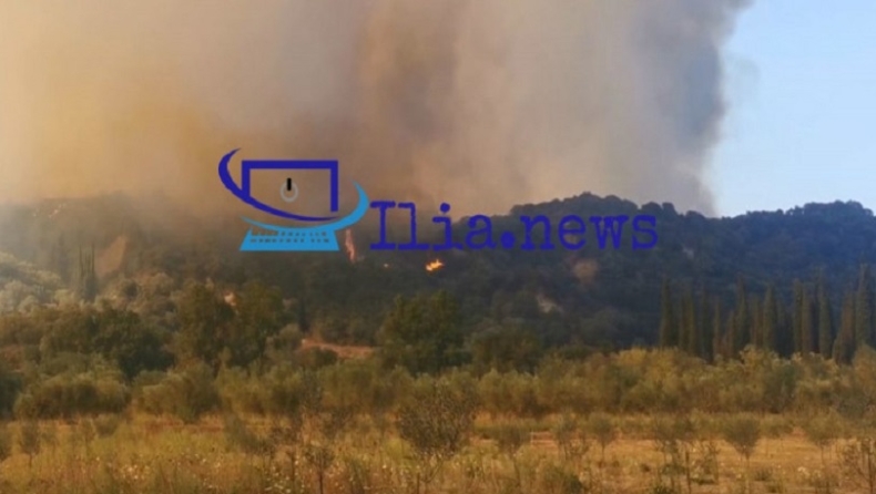 Ανεξέλεγκτη μεγάλη φωτιά και στην Ηλεία: Πύρινο μέτωπο 15 χιλιομέτρων, μάχη για να γλιτώσουν σπίτια (vids)