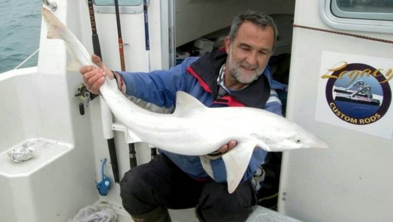 Ψαράς έπιασε εξαιρετικά σπάνιο κάτασπρο καρχαρία (pics)