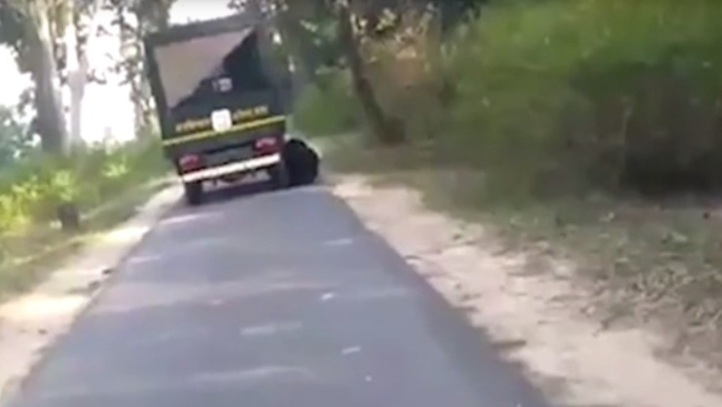 Η στιγμή που αρκούδα κυνηγάει αυτοκίνητο και μετά προσπαθεί να ανέβει σε φορτηγό (vid)