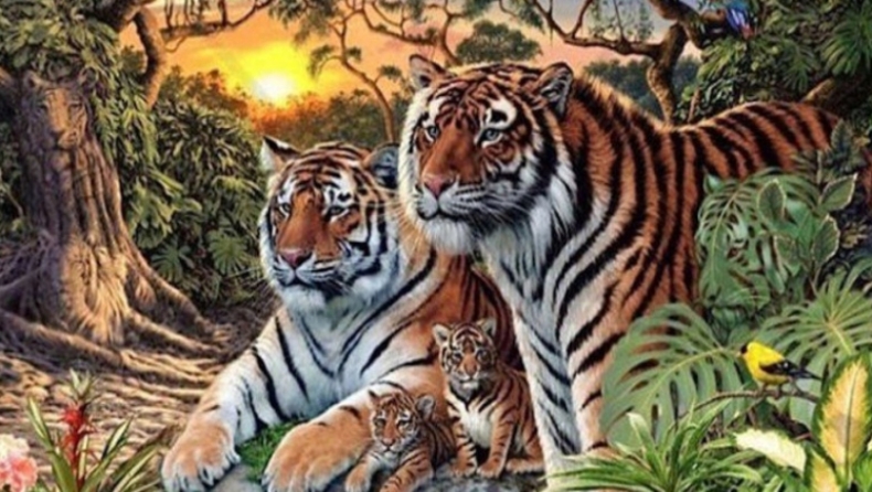 Τεστ παρατηρητικότητας: Μπορείς να βρεις και τις 16 τίγρεις;