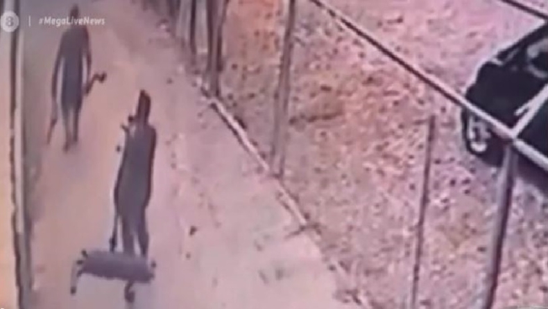 Βίντεο ντοκουμέντο: Οι ληστές με τους καταλύτες πήδηξαν από φράχτη 8 μέτρων με μια ολόκληρη εξάτμιση στα χέρια (vid)