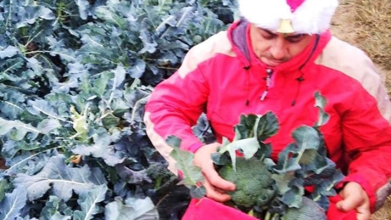 Αγρότης στο Κιλκίς καλλιεργεί λάχανα ντυμένος Άγιος Βασίλης (pics)