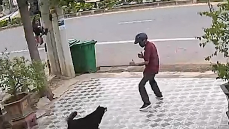 Μεθυσμένος τύπος τρόμαξε σκυλιά με ψευτοκινήσεις κουνγκ-φου (vid)