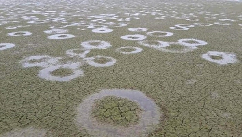 Εκατοντάδες τέλειοι κύκλοι εμφανίστηκαν στον πυθμένα της λίμνης Κερκίνης: Πώς εξηγείται το απίστευτο φαινόμενο (vid)