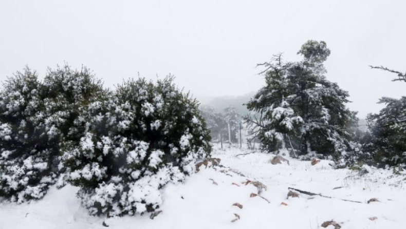 Εξαιρετικά χαμηλά τα επίπεδα χιονοκάλυψης στην Ελλάδα: Έπεσαν στο 1,3%