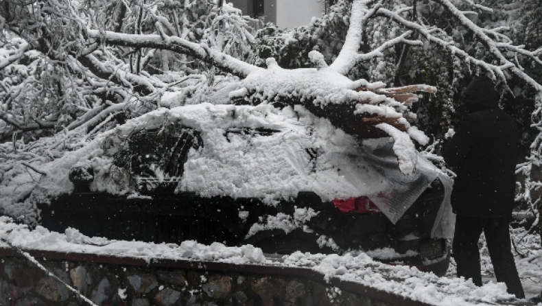 Κακοκαιρία «Μήδεια»: Δέντρα καταπλάκωσαν αυτοκίνητα στον Διόνυσο (pics)