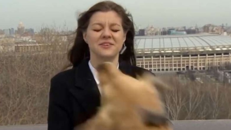 Η πιο αστεία κλοπή: Σκύλος αρπάζει το μικρόφωνο ρεπόρτερ και αρχίζει να τρέχει (vid)
