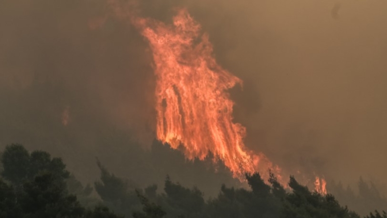 Φωτιά στον Σχίνο: Συνεχείς αναζωπυρώσεις, προς τα Μέγαρα κατευθύνονται οι φλόγες (vid)