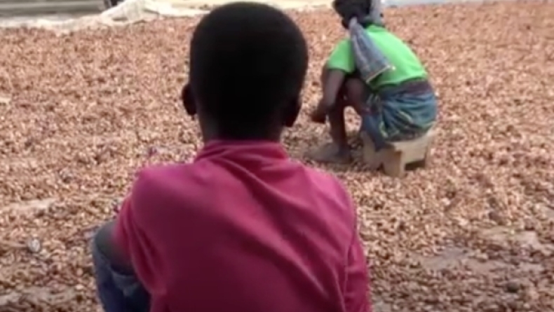 Καταδικάστηκαν 22 άτομα για εμπορία παιδιών σε φυτείες κακάο στην Ακτή Ελεφαντοστού (pics & vid)