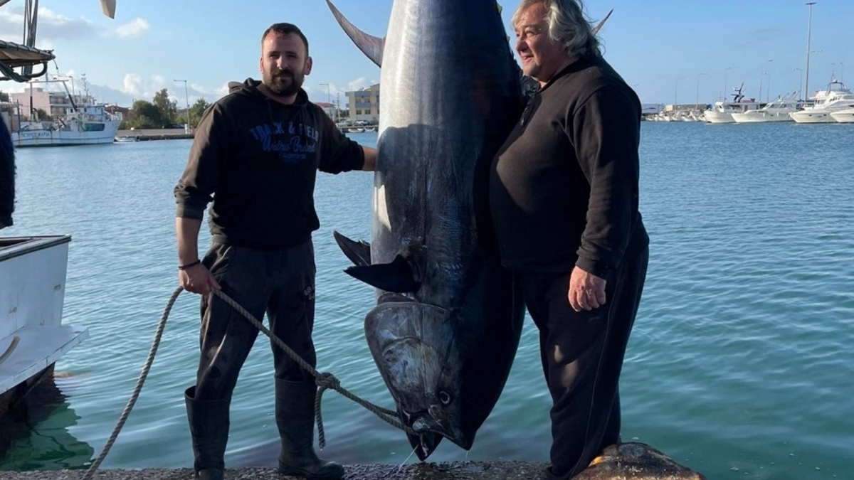 Στην Κυλλήνη έπιασαν το μεγαλύτερο ψάρι στην Ελλάδα τα τελευταία χρόνια