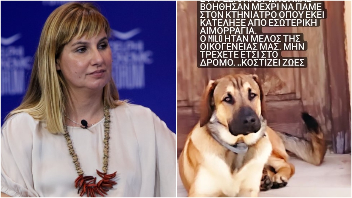 Το μήνυμα που έστειλε η Μπεκατώρου σε ασυνείδητο οδηγό, ο οποίος παρέσυρε τον σκύλο της 