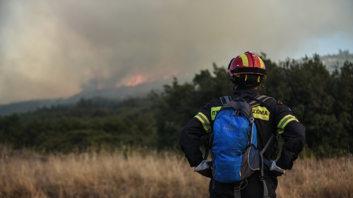 Τα προφίλ όσων συνελήφθησαν για εμπρησμό: Οργή προκαλούν οι δικαιολογίες των κατηγορουμένων