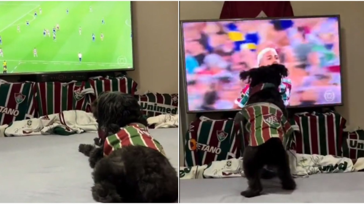 flu_copa_libertadores