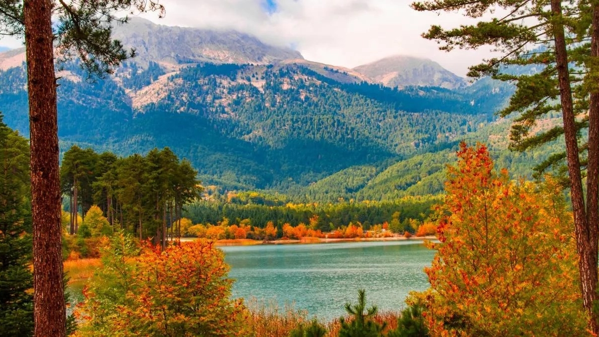 4 λίμνες κοντά στην Αθήνα για να απολαύσετε τη φθινοπωρινή φύση