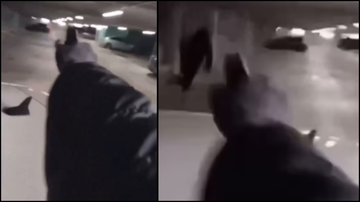 Γνωστός ράπερ στη Σουηδία δολοφονήθηκε σε live μετάδοση: Ο δράστης του είχε στήσει καρτέρι σε πάρκινγκ