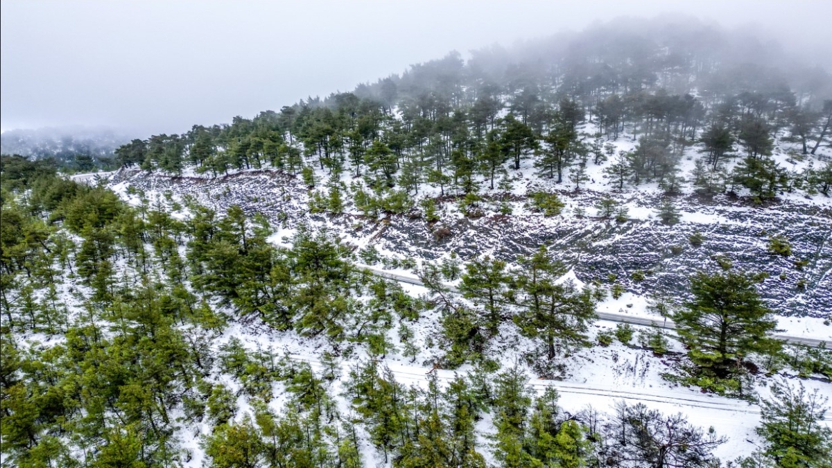 Διήμερη «ψυχρή εισβολή» ενόψει με χιόνια στα βόρεια: Χάρτες δείχνουν πώς θα κινηθεί η κακοκαιρία στην Ελλάδα