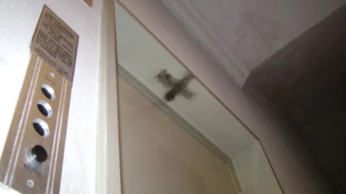 Τουρίστας τρόμαξε όταν είδε τον σταυρό από τον καπνό της λαμπάδας πάνω από την πόρτα (vid)