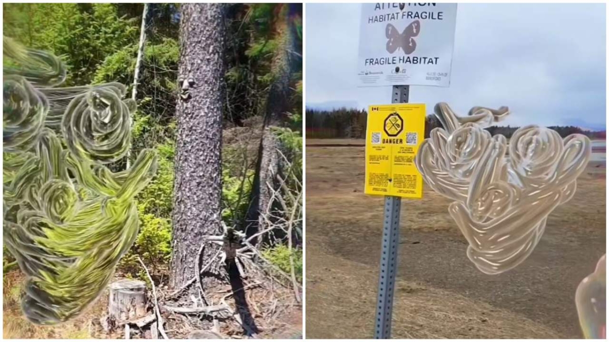 Προσομοίωση δείχνει πώς είναι να ζεις με σχιζοφρένεια: «Σαν να χάνεις την επαφή με την πραγματικότητα» (vid)
