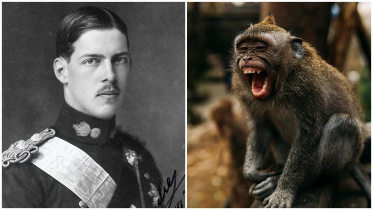 Η μαϊμού που άλλαξε την Ιστορία: Ο θάνατος του βασιλιά Αλέξανδρου Α' στο Τατόι (vid)