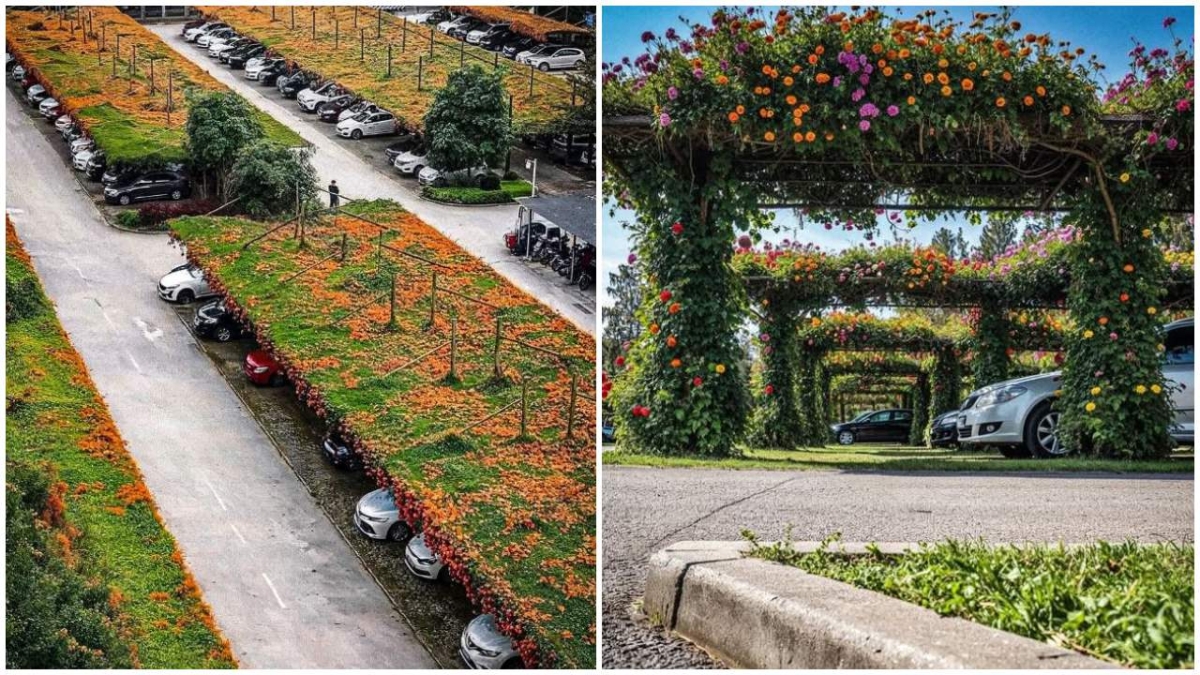 Η Ιαπωνία καινοτομεί ξανά: Πράσινες στέγες σε πάρκινγκ αλλάζουν τις πόλεις (vid)