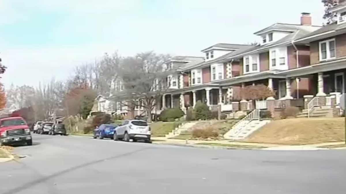 Σκύλος πυροβόλησε κατά λάθος τον ιδιοκτήτη του: Οι λεπτομέρειες σοκάρουν