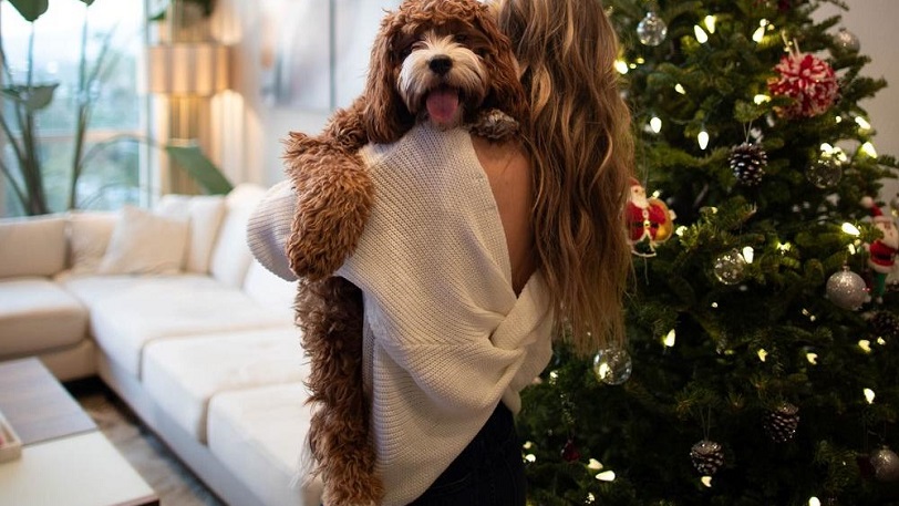 Πάνω από 30 μπλόκα της ΕΛ.ΑΣ., περιπολίες στις γειτονιές, σαρωτικοί έλεγχοι 5 με 7 το πρωί 