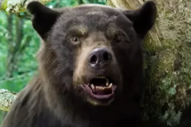 Cocaine Bear: Το νέο θρίλερ για μια αληθινή ιστορία, με μία αρκούδα που πήρε ναρκωτικά (vid)