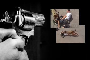 Σημάδεψε με το όπλο του αστυνομικό σκύλο και οι αστυνομικοί τον «γάζωσαν» - Προσοχή σκληρές εικόνες