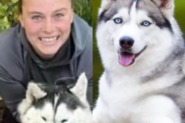 Η γυναίκα που σκότωσε ένα Husky νομίζοντας πως είναι λύκος και περηφανεύτηκε στα social, έχει εξοργίσει τον κόσμο (pics)