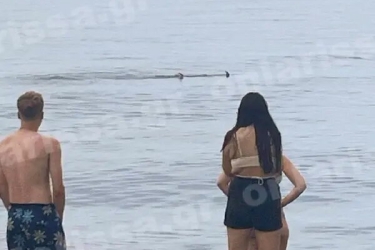 Απροσδιόριστο είδος καρχαρία σε παραλία της Λάρισας - «Πάγωσαν» οι λουόμενοι 