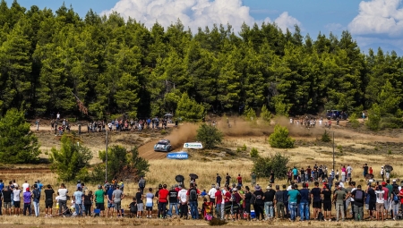 Ο κίνδυνος για μέλισσες και θεατές στο ΕΚΟ Ράλλυ Ακρόπολις, τι πρέπει να κάνουν οι μελισσοκόμοι