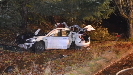 Tesla Model S τράκαρε και κατέστρεψε μια... γειτονιά (pics)